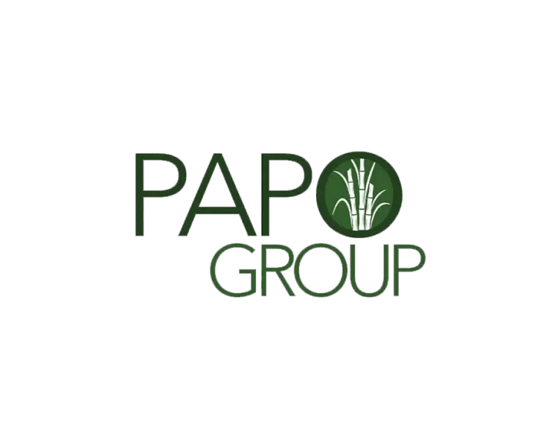 Papo Group unlocks transparency and a unified picture of wealth with Addepar