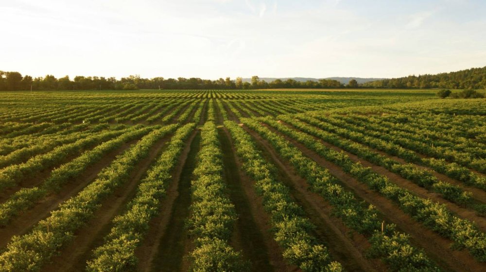 M&A, talent and AI insights from the first Addepar Summit